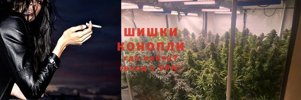 бошки Ельня