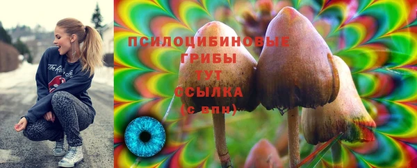 ГАЛЛЮЦИНОГЕННЫЕ ГРИБЫ Заволжск