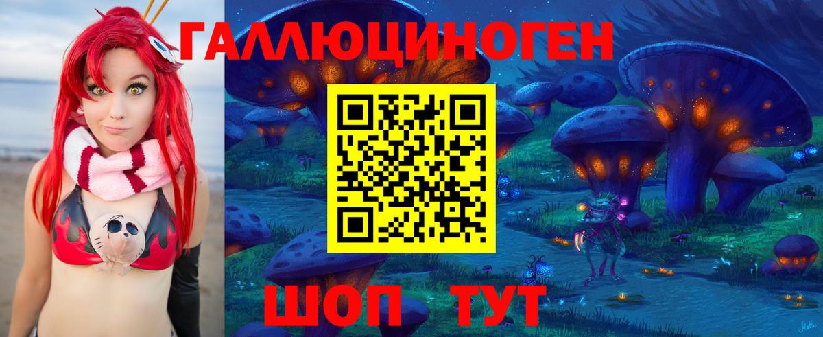 Псилоцибиновые грибы Psilocybine cubensis Тихорецк