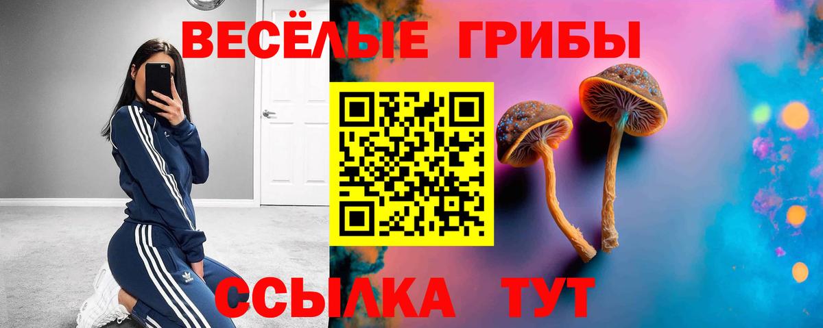 Тихорецк  Псилоцибиновые грибы мухоморы  Вход с VPN  Галлюциногенные грибы Cubensis 